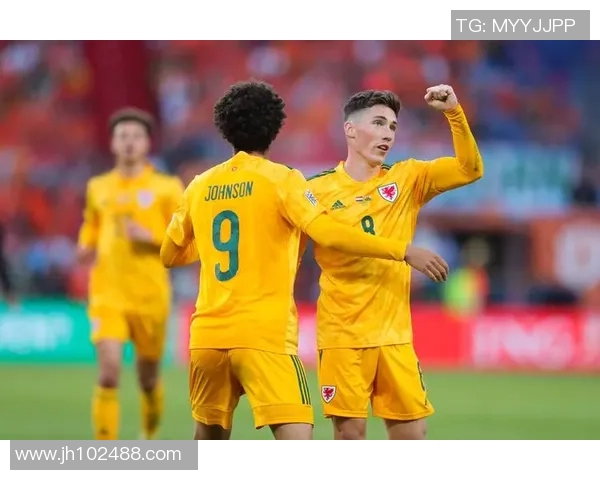 荷兰足球明星维思格的辉煌历程与未来展望